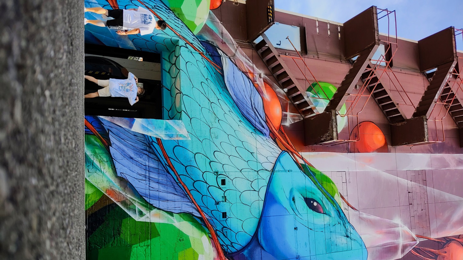 spray_fish_2